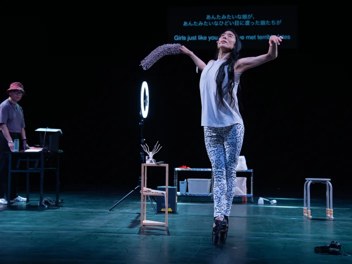 Giselle: A Summary, Lessingtage