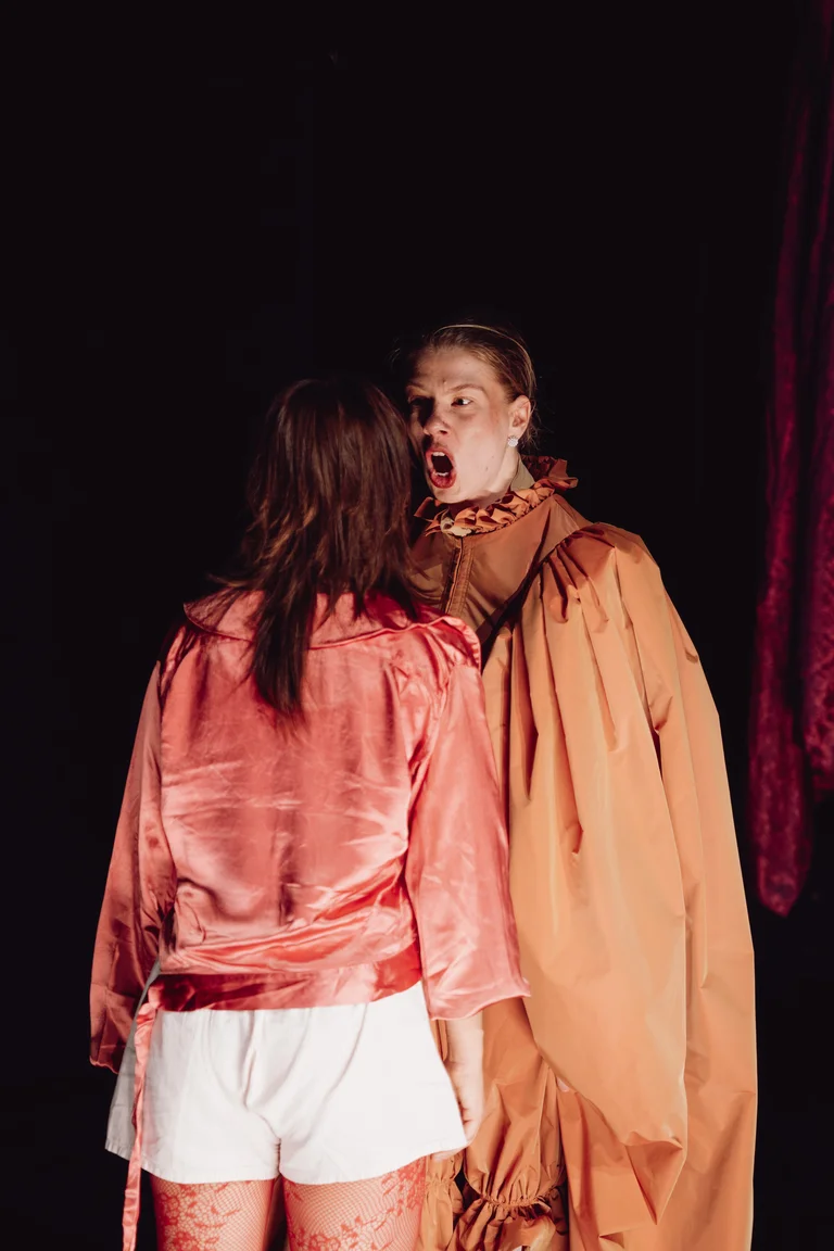 Zwei Schauspieler in einem Theaterstück. Einer trägt Kleidung in Rosa und der andere ein Kostüm in Braun. Dunkler Hintergrund.