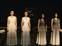 Destination Origin, Lessingtage