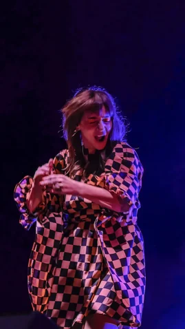 A Flamenco dancer in a checkered dress passionately performs on stage, illuminated by dramatic lighting against a dark backdrop.