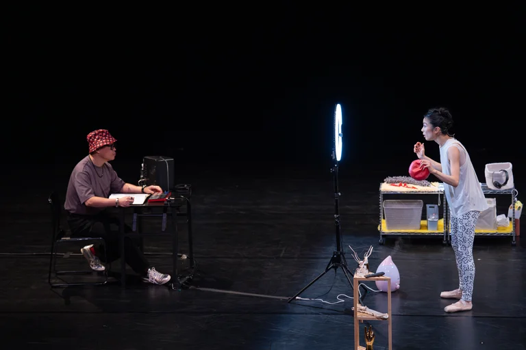 Giselle: A Summary, Lessingtage