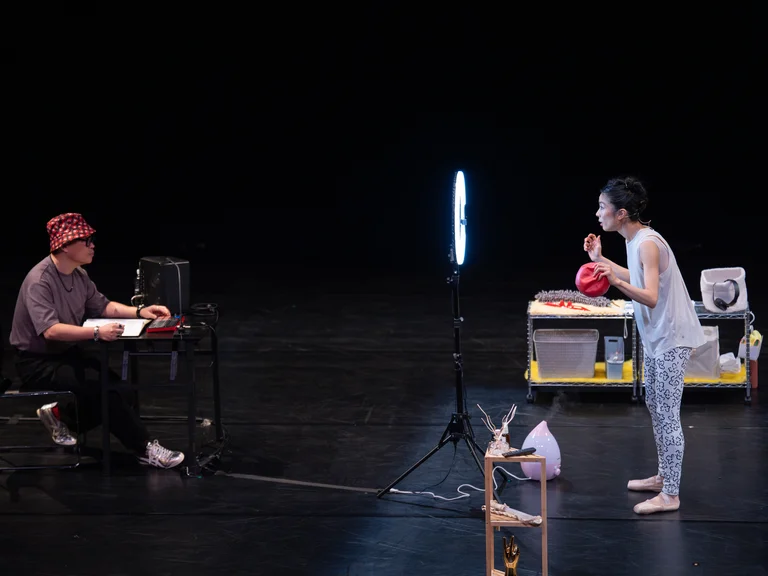 Giselle: A Summary, Lessingtage