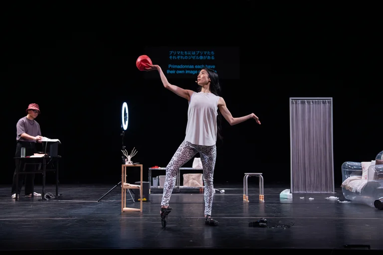 Giselle: A Summary, Lessingtage