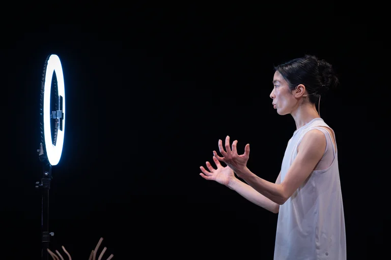 Giselle: A Summary, Lessingtage