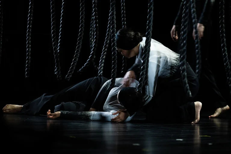 Destination Origin, Lessingtage