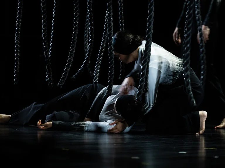 Destination Origin, Lessingtage