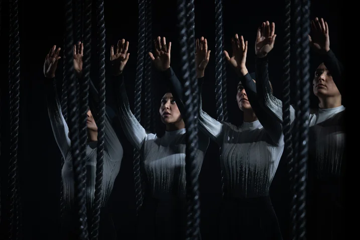 Destination Origin, Lessingtage