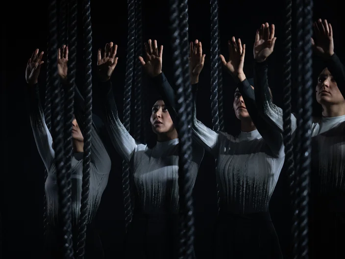 Destination Origin, Lessingtage