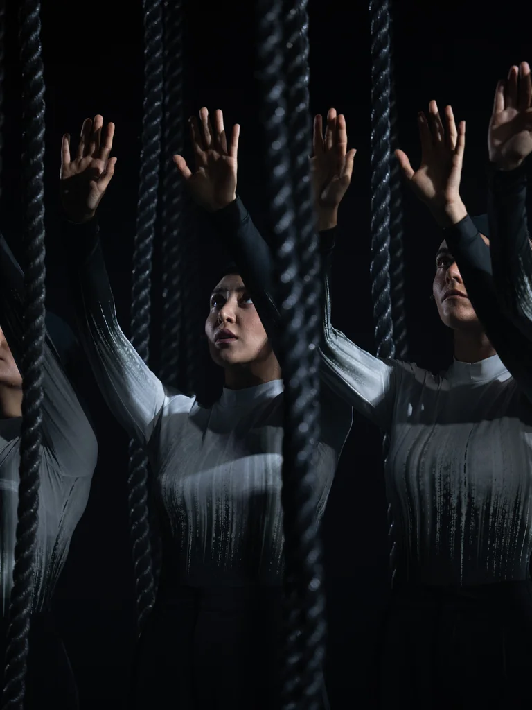 Destination Origin, Lessingtage