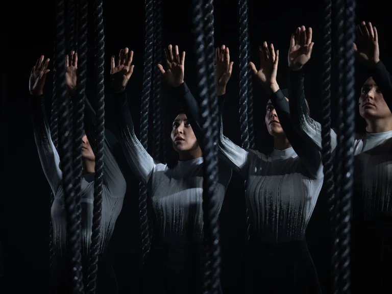 Destination Origin, Lessingtage